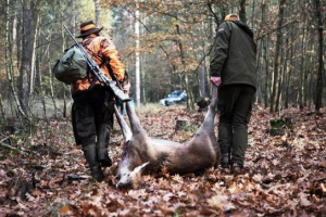 Poaching